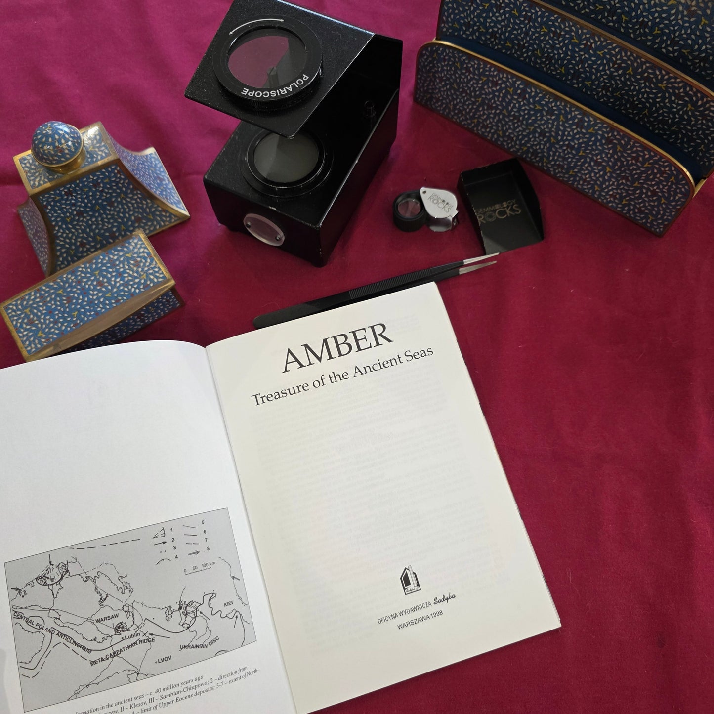 Amber: Treasure of the Ancient Seas