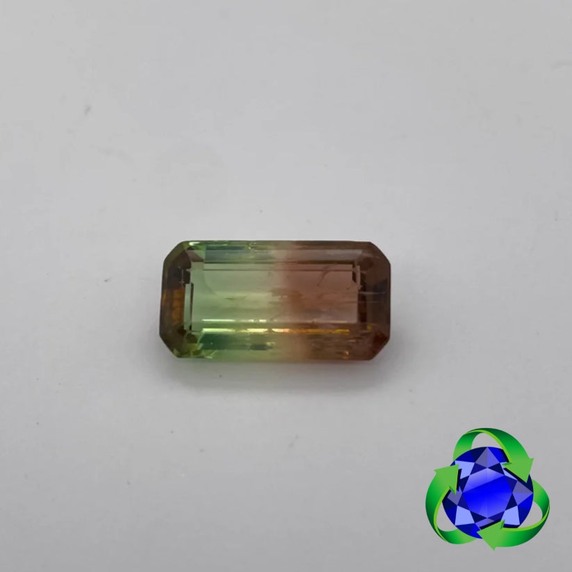 Bicolour tourmaline - Octagon 8.15ct