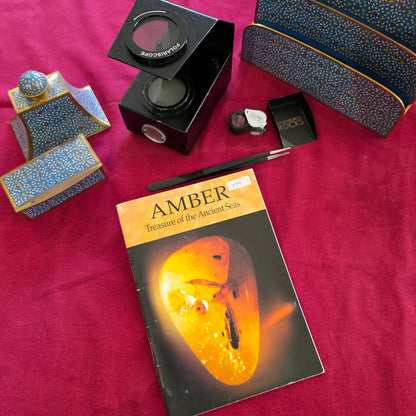 Amber: Treasure of the Ancient Seas