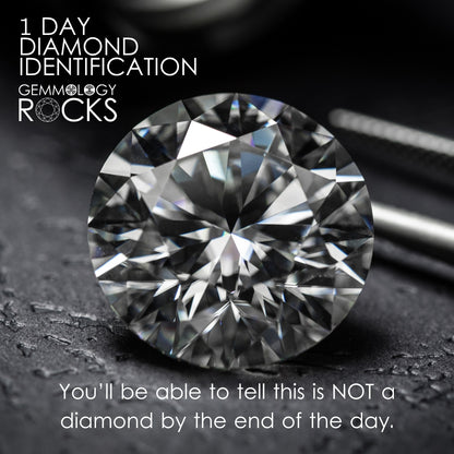 1 Day Diamond Identification: 30th April 2026 - Glasgow